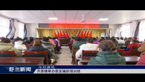 舒兰市开原镇举办假发编织培训班