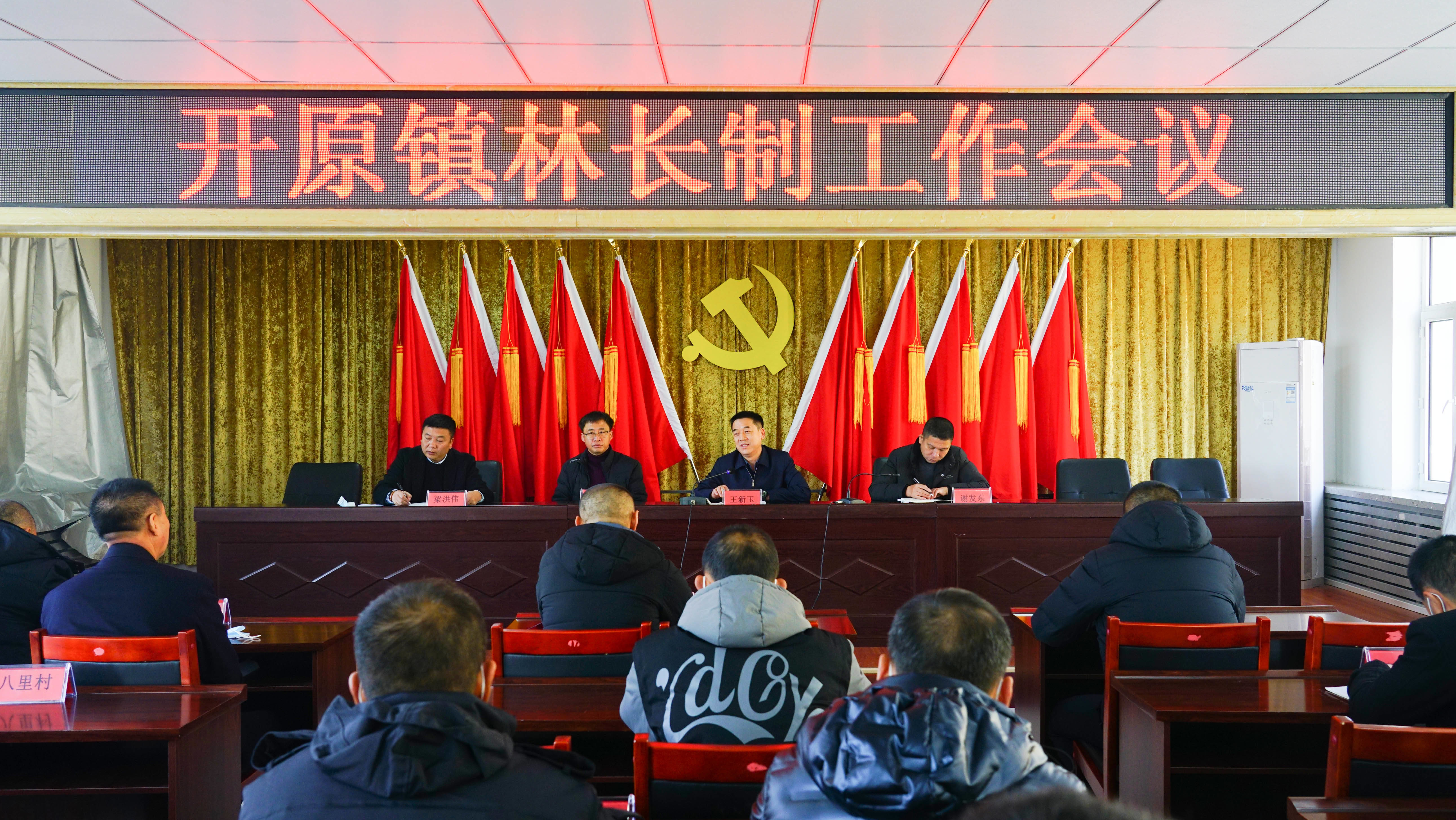 舒兰市委副书记王新玉赴开原镇调研林长制工作