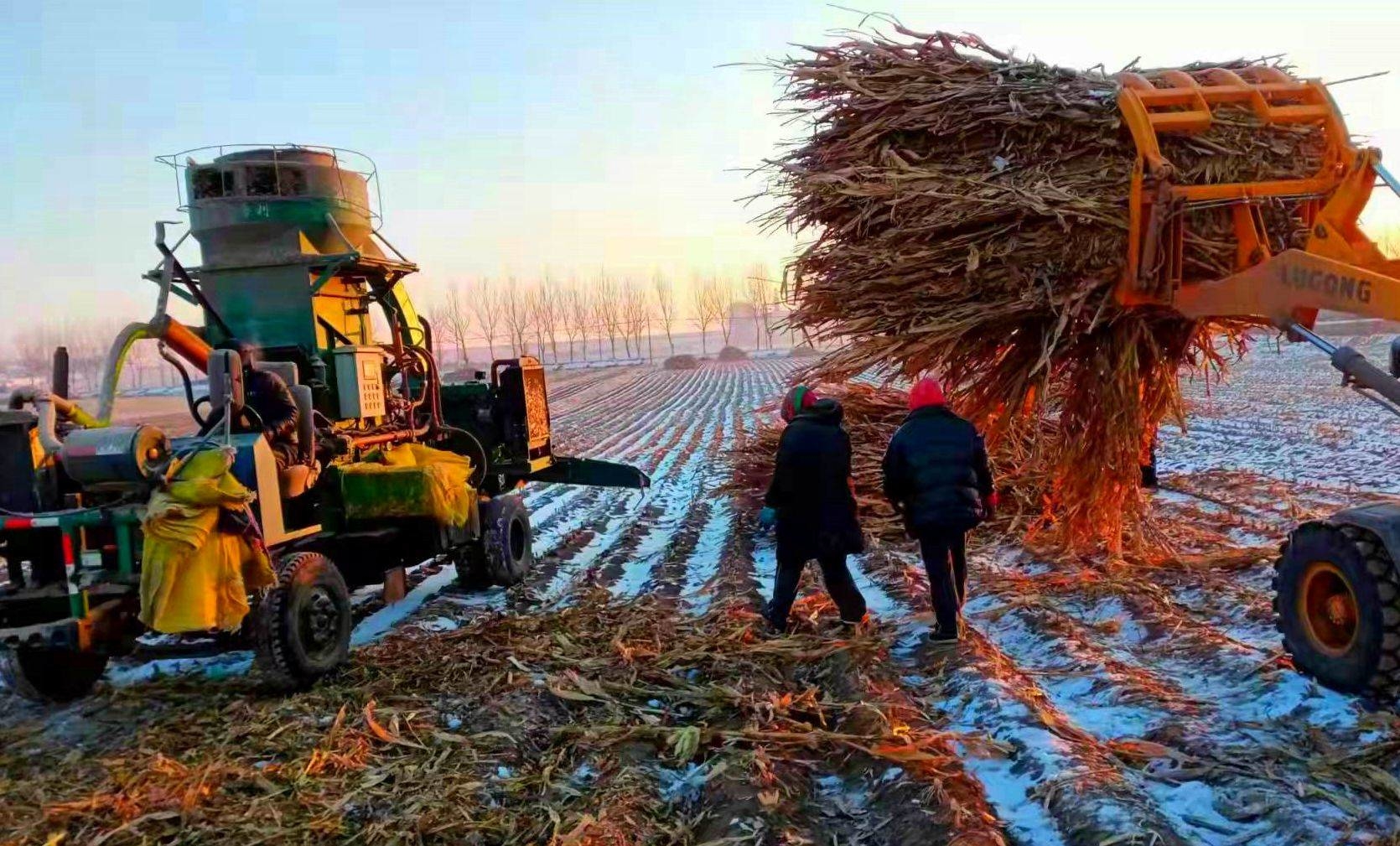 舒兰莲花乡：抢抓时机 攻坚克难 全力推进秸秆离田工作