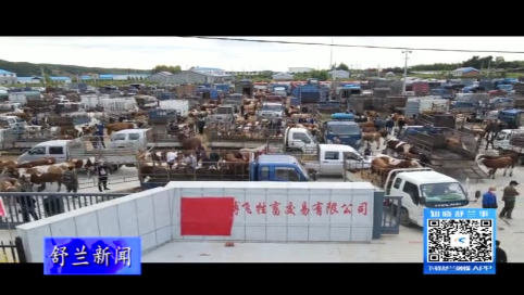 舒兰市肉牛产业规模再创新高