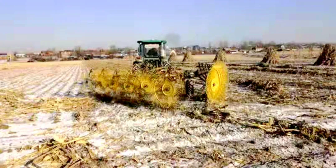 舒兰市亮甲山乡：机械打包离田快 化草为金妙招好