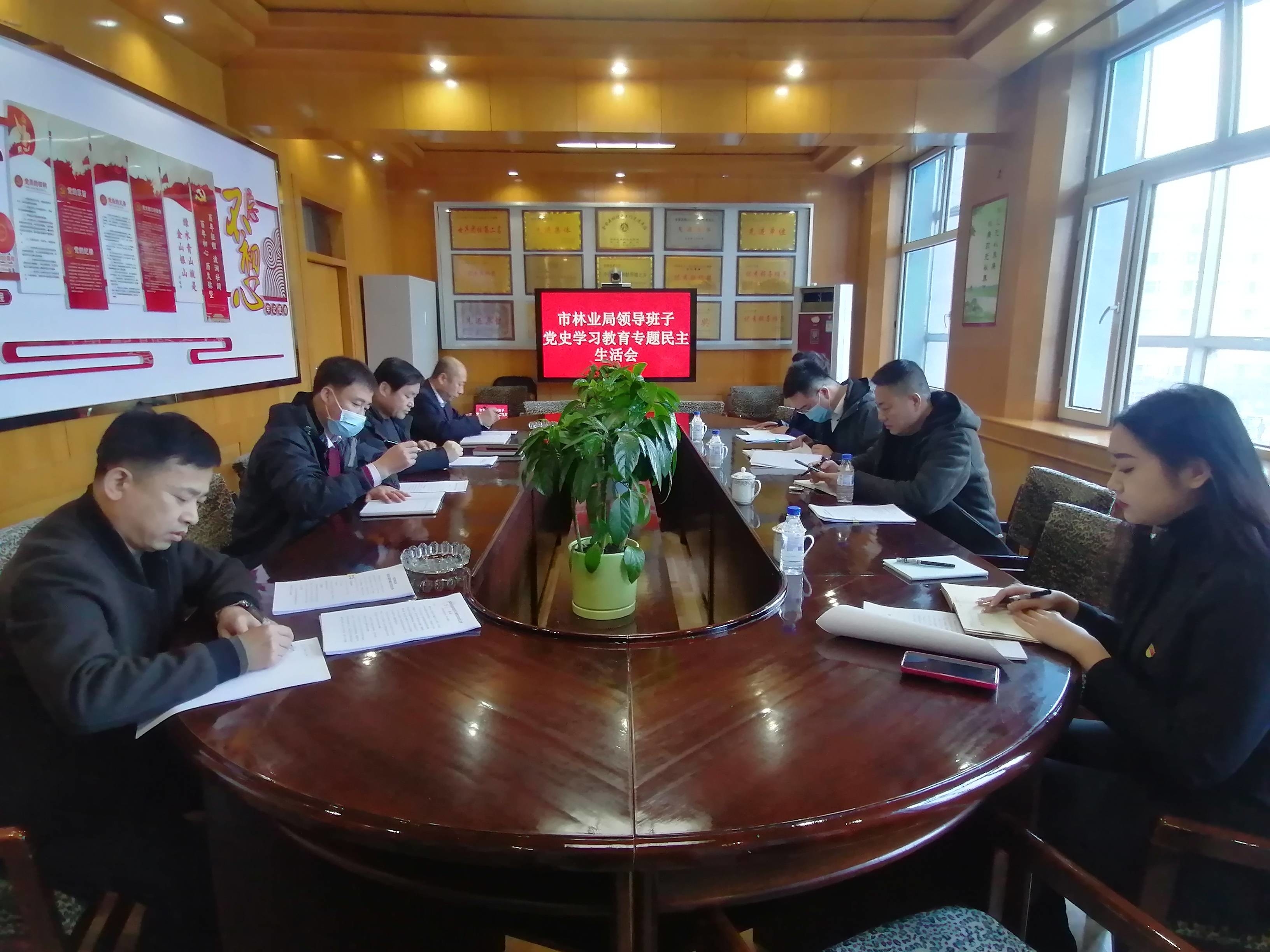 舒兰市林业局召开局领导班子党史学习教育专题民主生活会