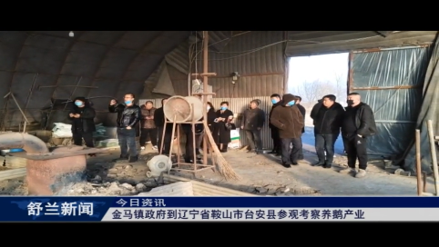舒兰市金马镇政府到辽宁省鞍山市台安县参观考察养鹅产业