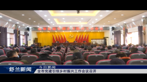 舒兰市党建引领乡村振兴工作会议召开