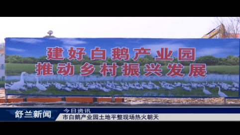 舒兰市白鹅产业园土地平整现场热火朝天