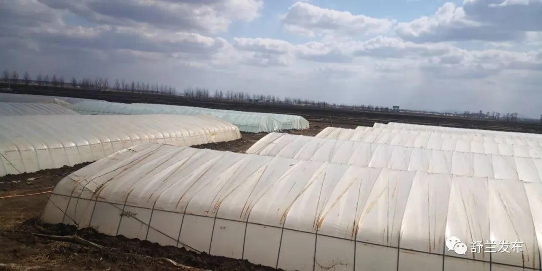 同心抗疫丨舒兰市法特镇有序推进春耕生产