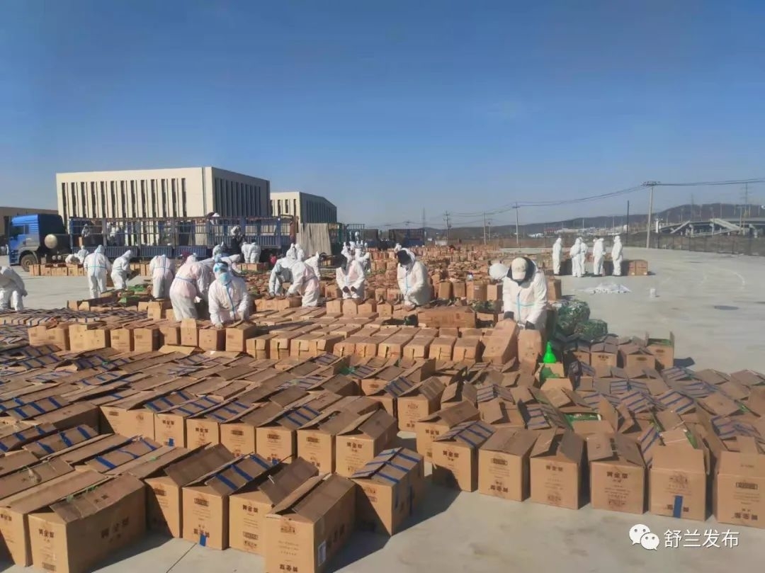 同心抗疫丨舒兰市全力做好辽宁省支援吉林市蔬菜分拣运输工作