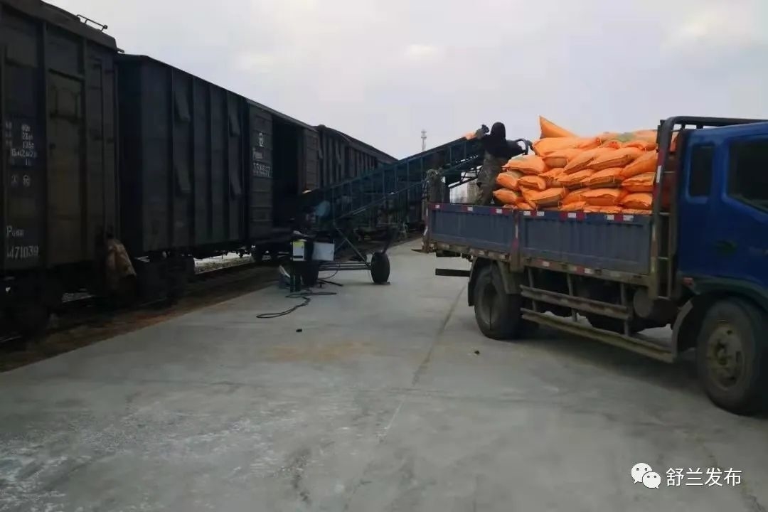 同心抗疫丨舒兰：党建引领促发展 春耕战疫两不误