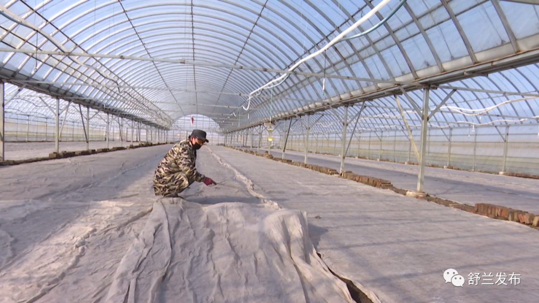同心抗疫丨舒兰市水稻育苗工作稳步推进