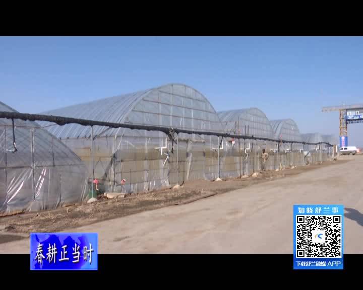 舒兰市水稻育苗工作稳步推进