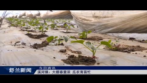 舒兰市溪河镇：大棚春意浓 瓜农育苗忙