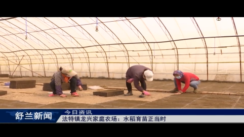 舒兰市法特镇龙兴家庭农场：水稻育苗正当时