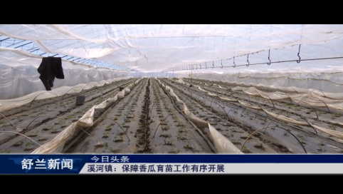 舒兰市溪河镇：保障香瓜育苗工作有序开展