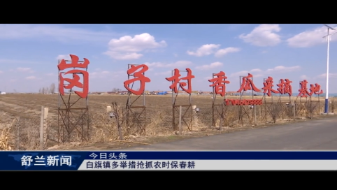 舒兰市白旗镇多举措抢抓农时保春耕