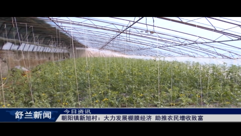 舒兰市朝阳镇新旭村：大力发展棚膜经济 助推农民增收致富
