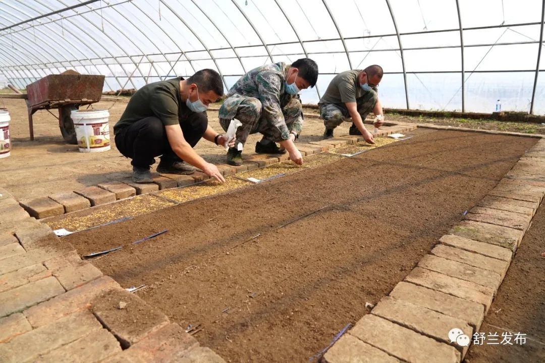 乡村振兴丨袁隆平团队北方优质稻研发基地开展水稻育苗作业