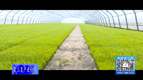 舒兰市江湾里家庭农场开启2022年复工复产春耕新篇章