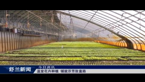 舒兰：温室花卉种植 铺就芬芳致富路