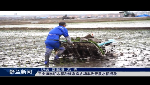 舒兰市平安镇学明水稻种植家庭农场率先开展水稻插秧