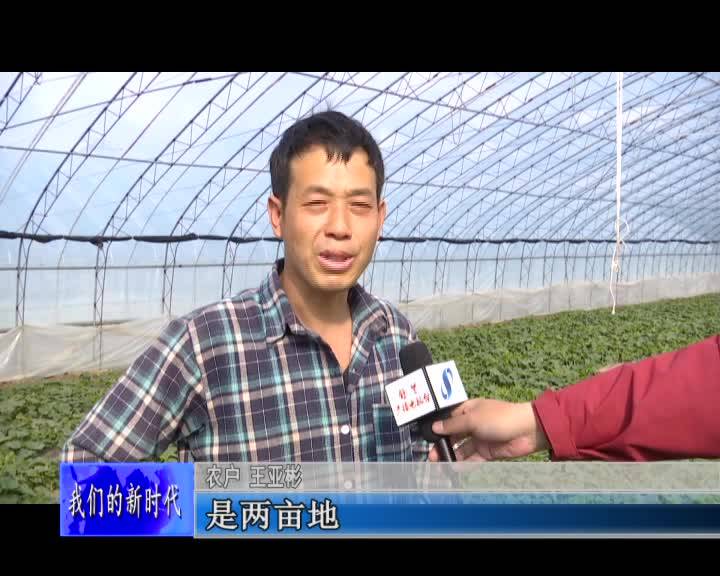 舒兰市溪河镇大棚香瓜即将抢&ldquo;鲜&rdquo;上市