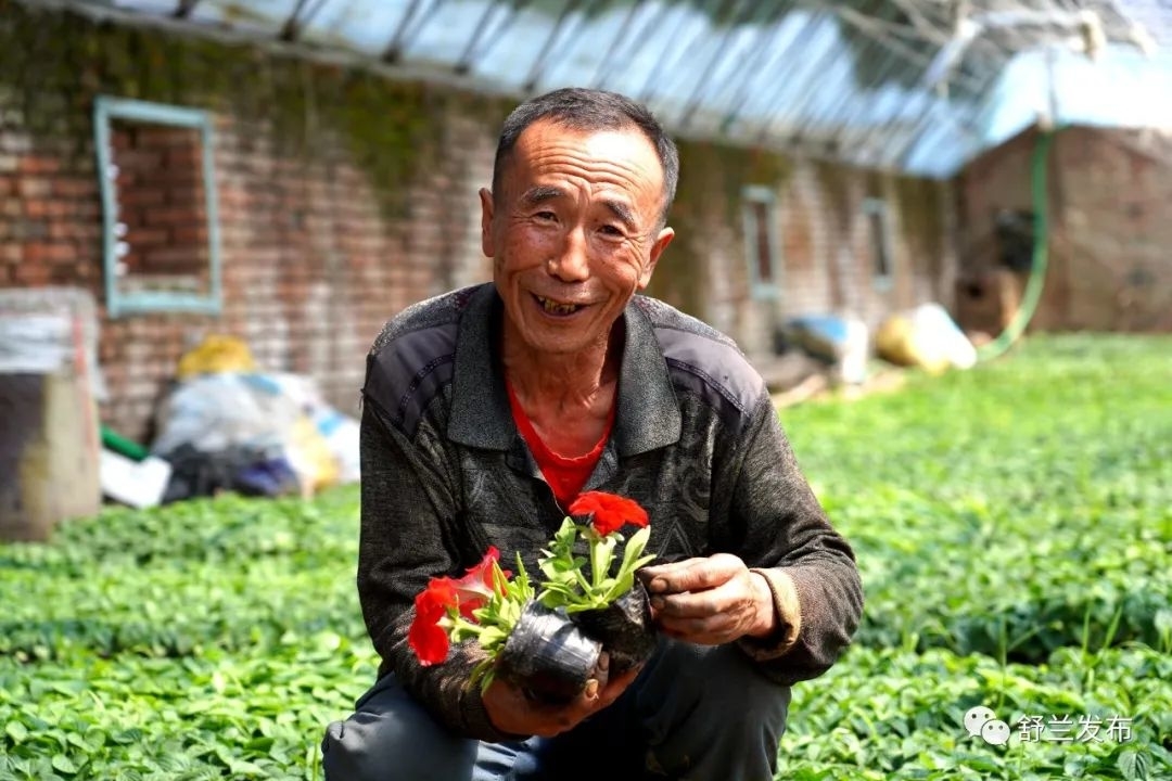 乡村振兴丨舒兰市朝阳镇：乡村育出致富花