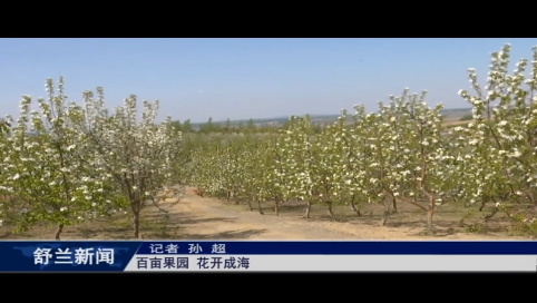 舒兰：百亩果园 花开成海