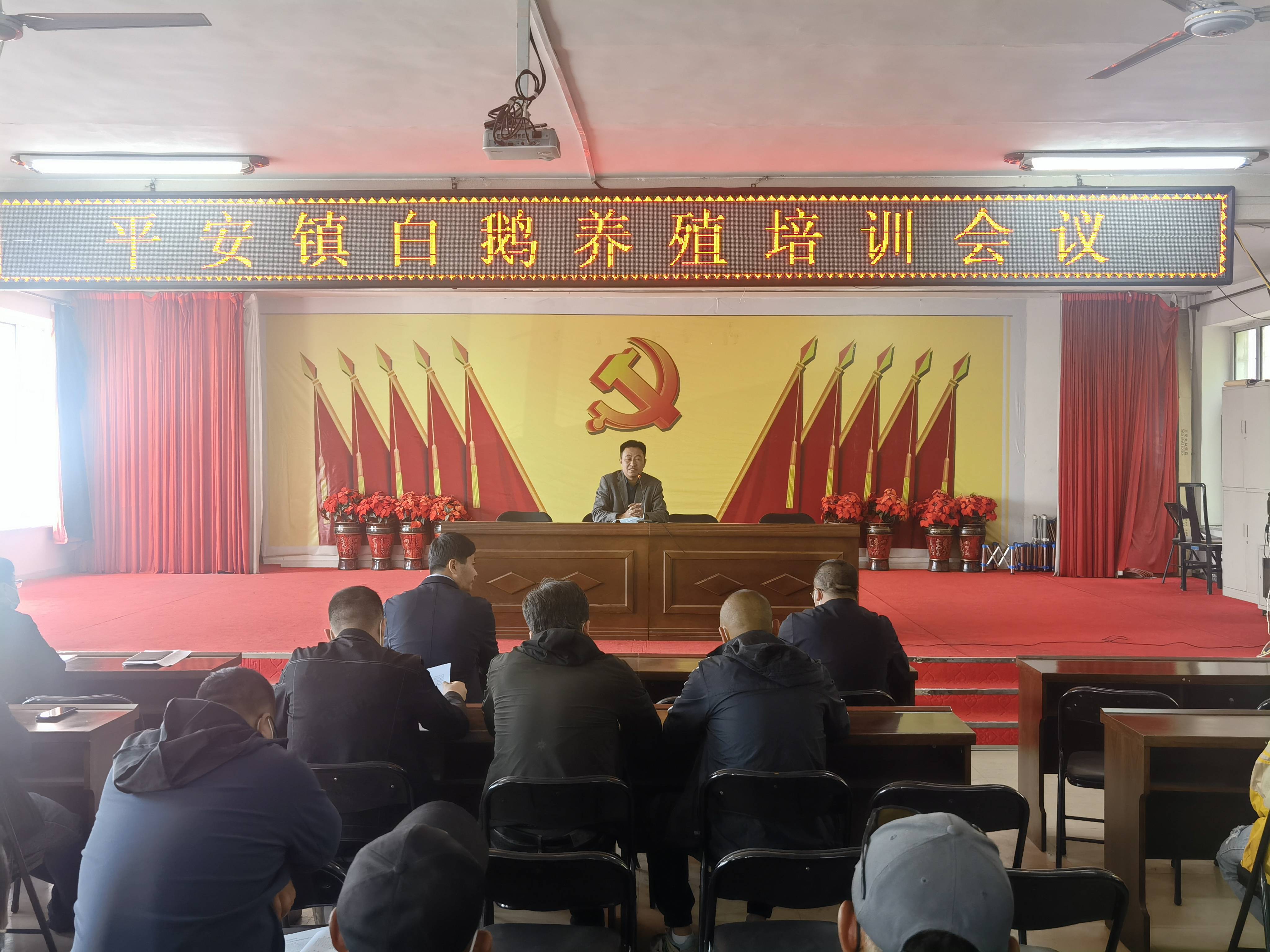 舒兰市平安镇开展白鹅养殖培训