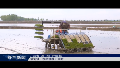 舒兰市溪河镇：水稻插秧正当时
