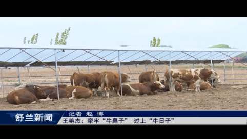 王艳杰：牵牢&ldquo;牛鼻子&rdquo; 过上&ldquo;牛日子&rdquo;