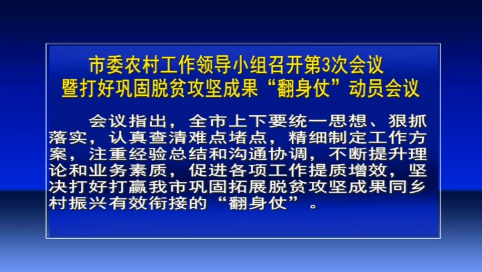 舒兰市委农村工作领导小组召开第3次会议暨打好巩固脱贫攻坚成果&ldquo;翻身仗&rdquo;动员会议