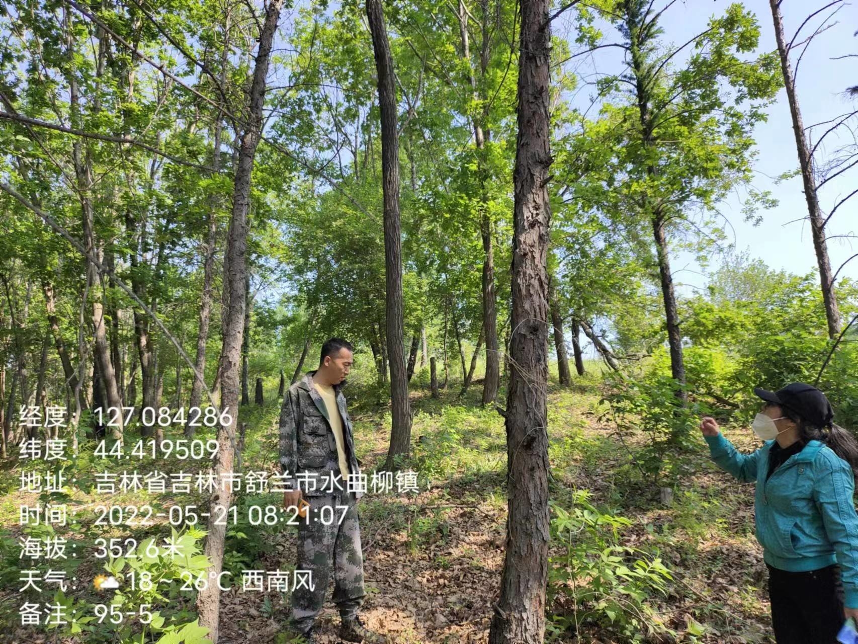 舒兰林场开展林业有害生物监测调查