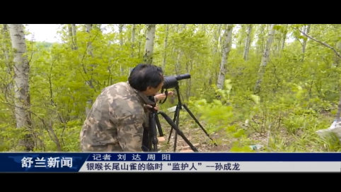 舒兰：银喉长尾山雀的临时&ldquo;监护人&rdquo;&mdash;&mdash;孙成龙