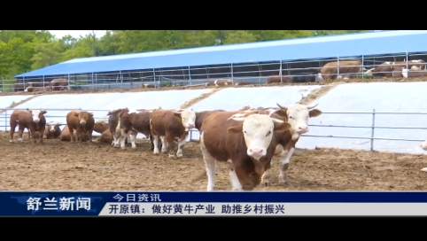 舒兰市开原镇：做好黄牛产业 助推乡村振兴