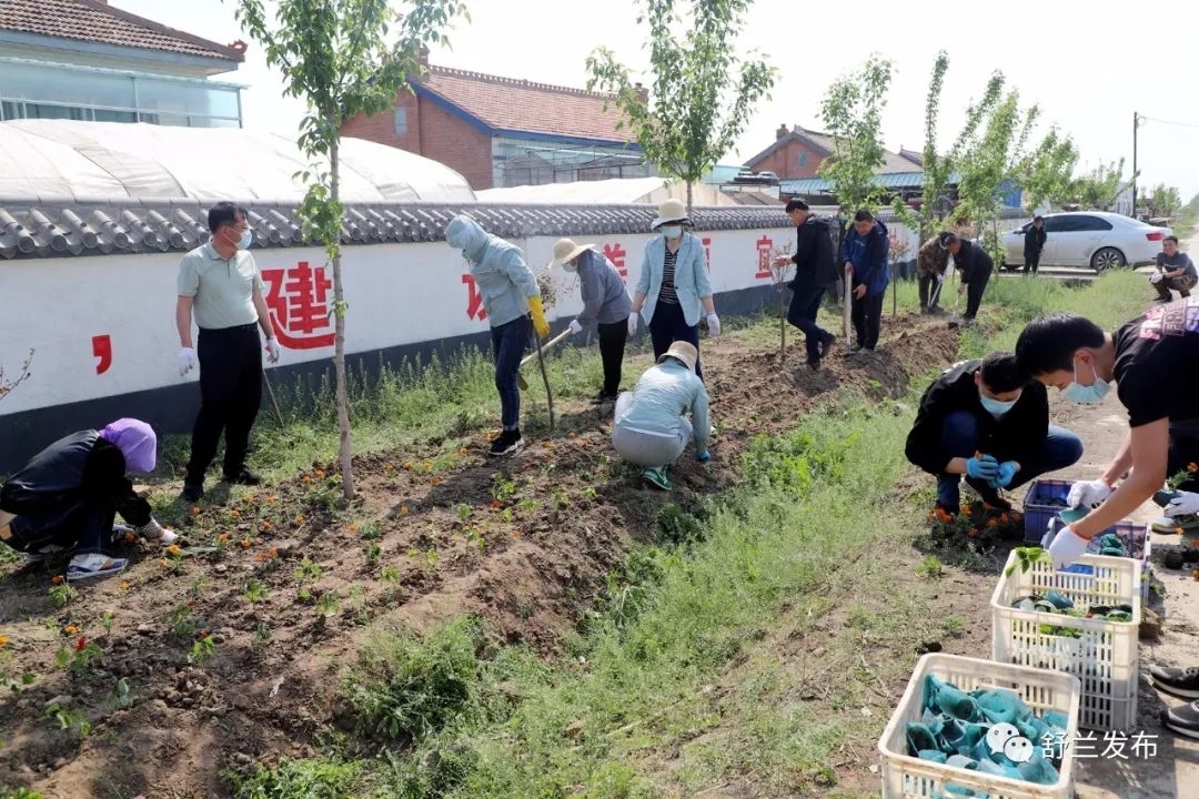 乡村振兴丨舒兰市莲花乡：栽种花卉扮靓美丽家园