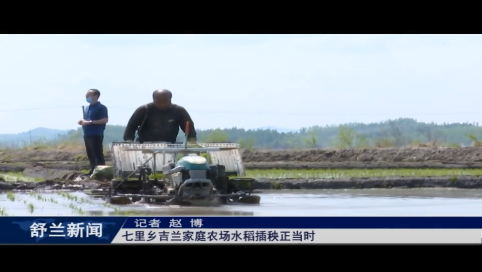 舒兰市七里乡吉兰家庭农场水稻插秧正当时
