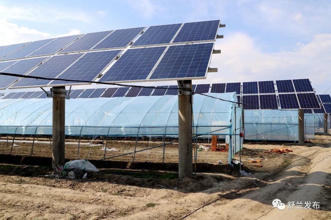 乡村振兴丨舒兰市环城街道：打造&ldquo;养鹅联盟&rdquo; 拓宽致富渠道