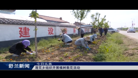 舒兰市莲花乡组织开展植树栽花活动