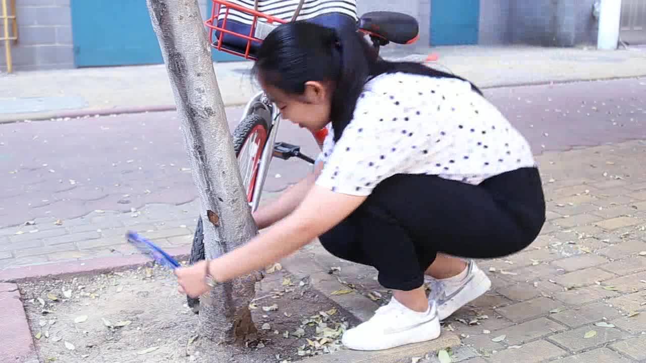 共享单车  共享文明
