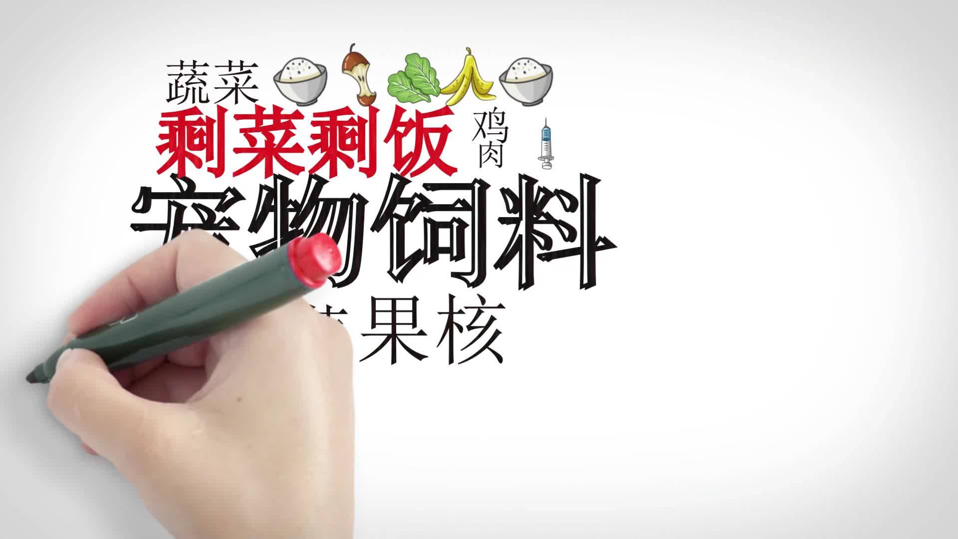《垃圾分类有规则》