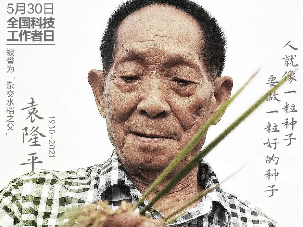 今天，向他们致敬！