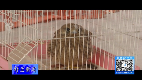 舒兰市林业局舒兰林场野生动物救护站：救助野生动物一直在行动