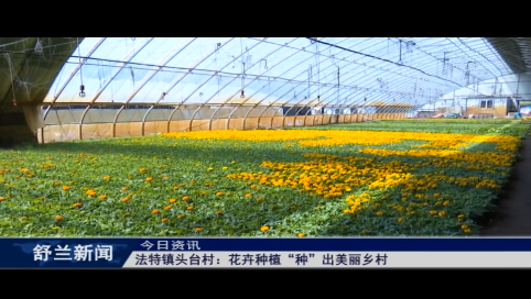 舒兰市法特镇头台村：花卉种植&ldquo;种&rdquo;出美丽乡村