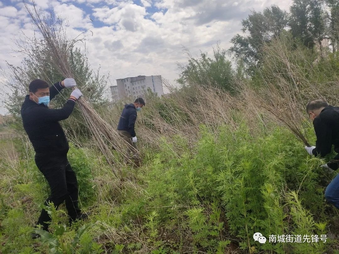 舒兰市南城街道开展&ldquo;文明舒兰&middot;净美稻乡&rdquo;城市清洁志愿服务活动