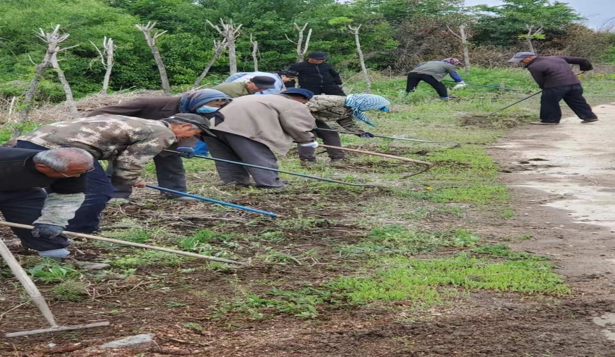 舒兰市七里乡持续推动&ldquo;七边&rdquo;环境卫生治理工作