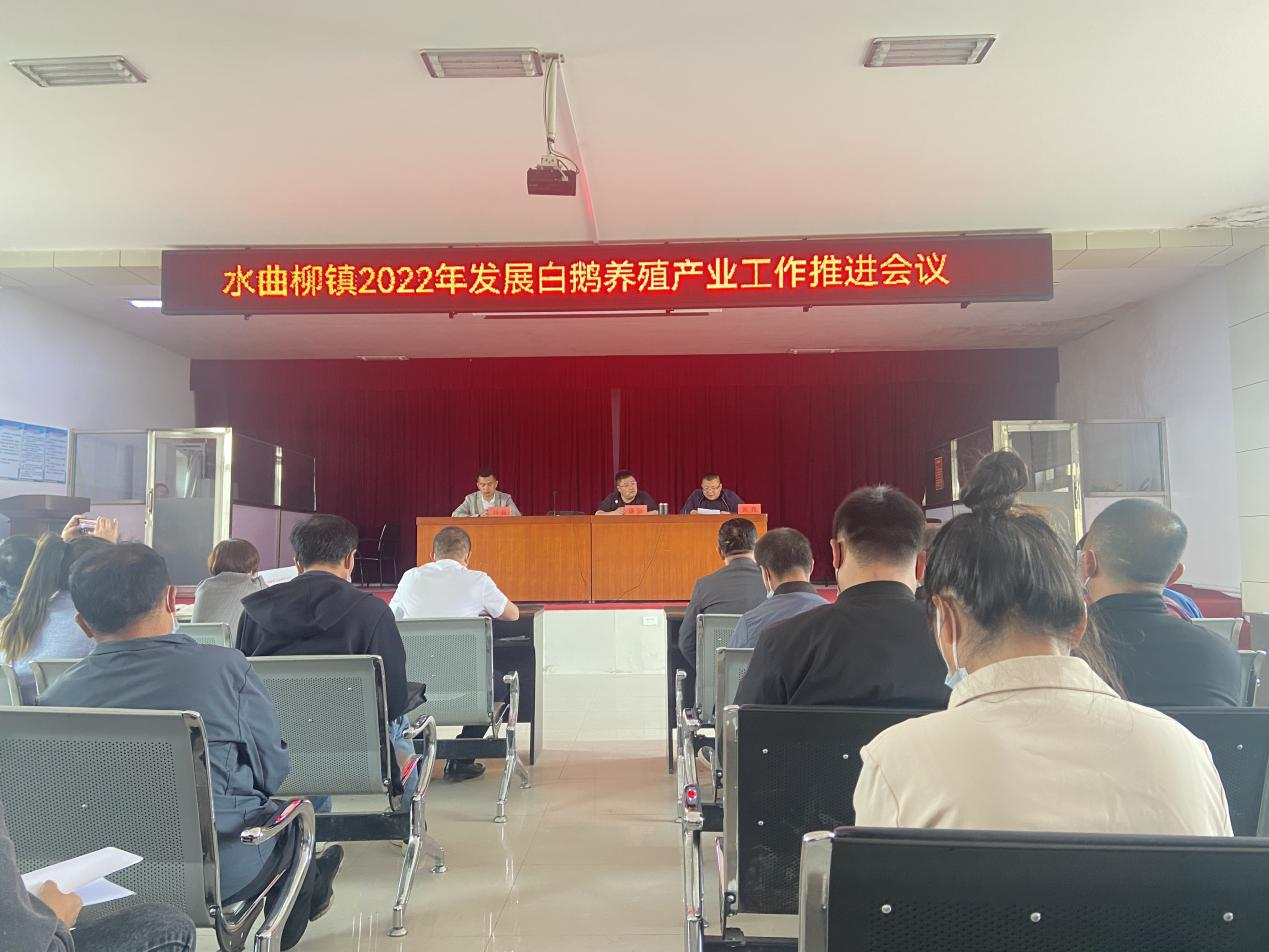 水曲柳镇召开白鹅养殖产业工作推进会议