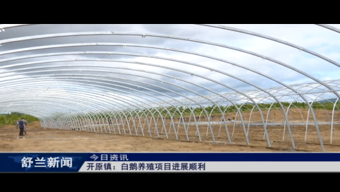 舒兰市开原镇：白鹅养殖项目进展顺利