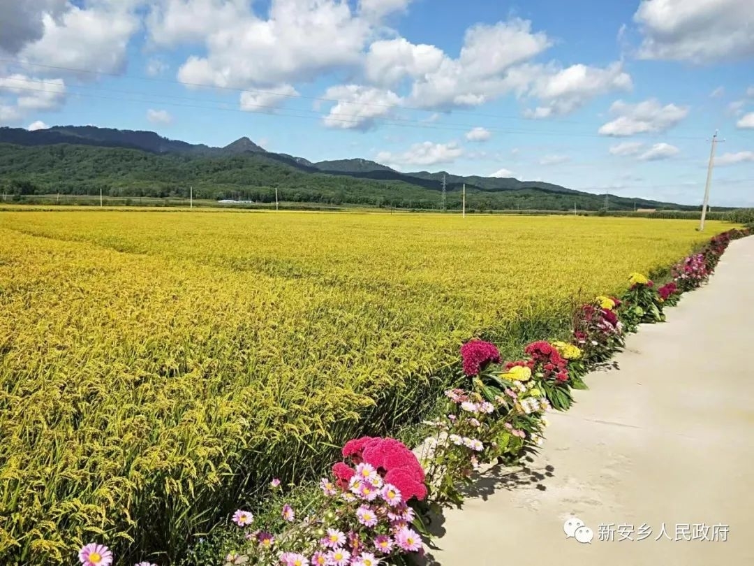 舒兰市新安乡稳步推进&ldquo;七边&rdquo;环境整治工作