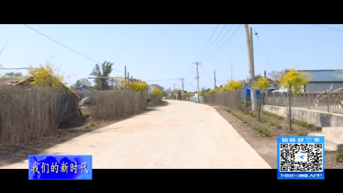 舒兰市法特镇：鲜花绿篱 乡村更宜人