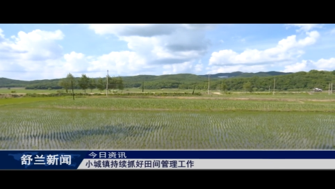 舒兰市小城镇持续抓好田间管理工作