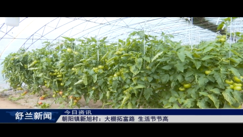 舒兰市朝阳镇新旭村：大棚拓富路 生活节节高